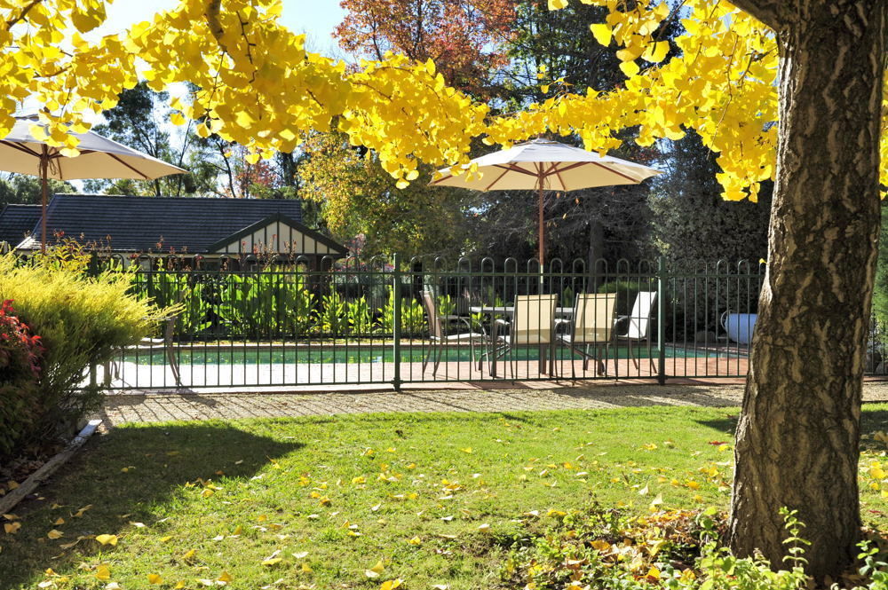 The Birch House - Silver Birches Accommodation 브라이트 외부 사진