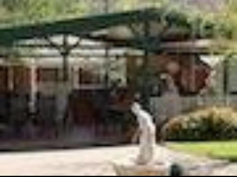The Birch House - Silver Birches Accommodation 브라이트 외부 사진