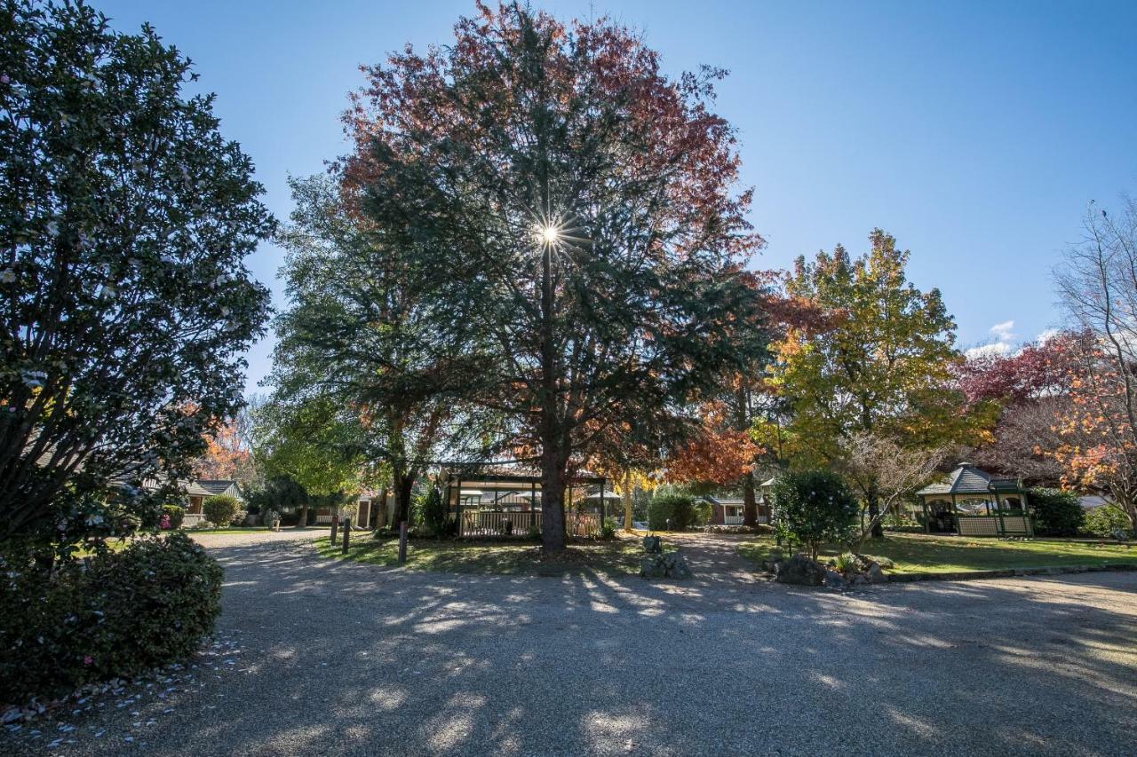 The Birch House - Silver Birches Accommodation 브라이트 외부 사진